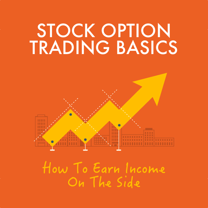 Beginners Guide To Stock Options (Mini-Series)